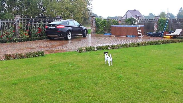 На даче! 29.09.2015 -3ч.(5). Жади. Минск. Беларусь смотреть онлайн