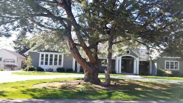 Америка. Юта. Весна в Юте. Прогулка по Holladay Utah.