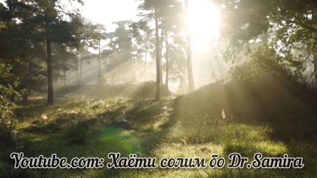 САБУСАКИ САР. (ПЕРХОТЬ) ТАРЗИ ТАБОБАТИ ОН #сабусакисар #хаётисолим смотреть онлайн