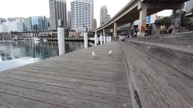 Canon EOS 600D video test (1080p) смотреть онлайн