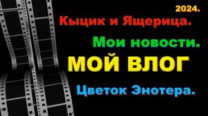 Влог. Мои новости. Цветок Энотера. Кыцик и ящерица.
