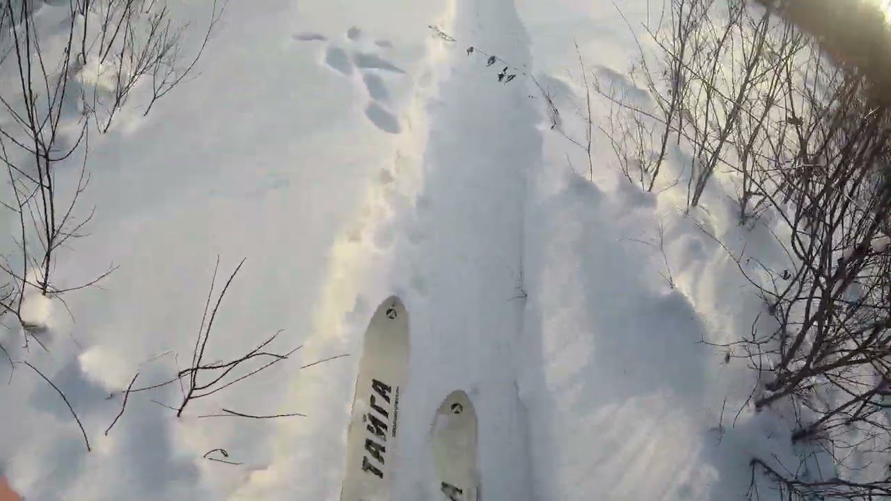 Накроха для привлечения зверя. смотреть онлайн