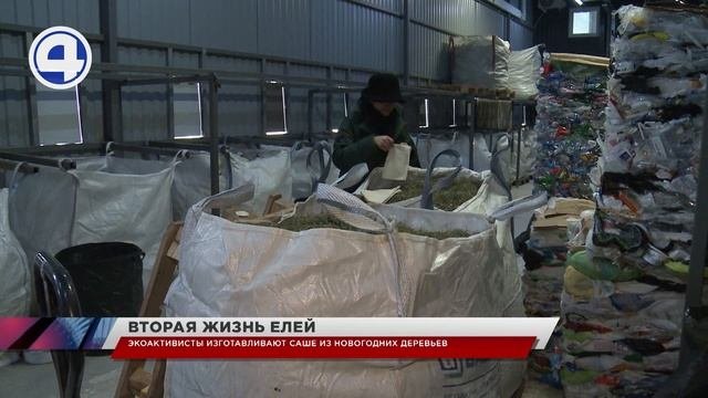 Переработка новогодних елей стартовала на площадке мусорного хаба в Екатеринбурге