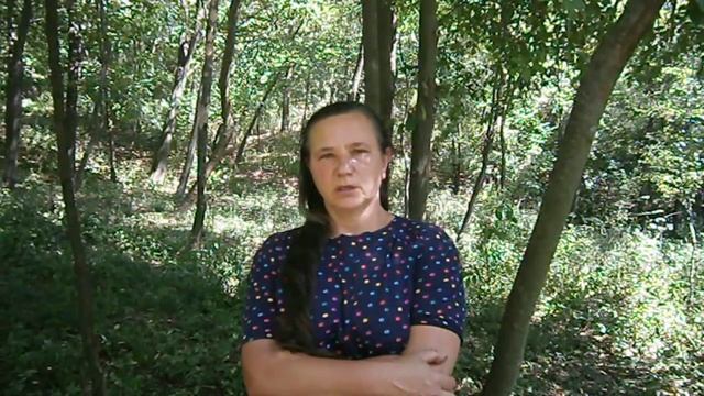 Поляна светлячков - возвращение в небо смотреть онлайн