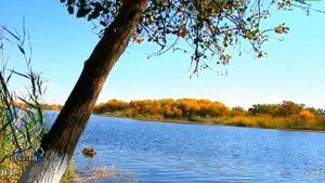 БЕШАИ ПАЛАНГОН  ТИГРОВАЯ БАЛКА В ТАДЖИКИСТАНЕ