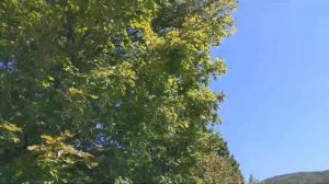 #вермонт #vermont VERMONT. ВЕРМОНТ, ИНТЕРЕСНОЕ ЗРЕЛИЩЕ !