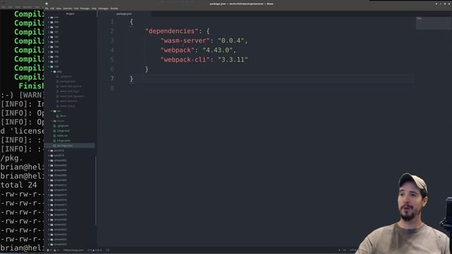 Getting Started with WebAssembly and Rust: A First Look смотреть онлайн