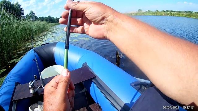ПРОВЕРЯЕМ ЯМУ В ЖАРУ ВЕРТУШКАМИ И ПИЛЬКЕРОМ А ТРАВУ ЛЯГУШКОЙ. смотреть онлайн