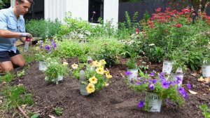 A Rainbow of Annuals for Pride | Gardener in Love