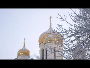 Престольный праздник Екатерининского собора Царского Села