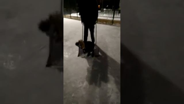 Чистим каток смотреть онлайн