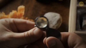 Мегалодон когда-то правил океанами, но только не возле Антарктиды