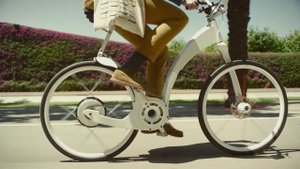 Самый мудрый знак Зодиака