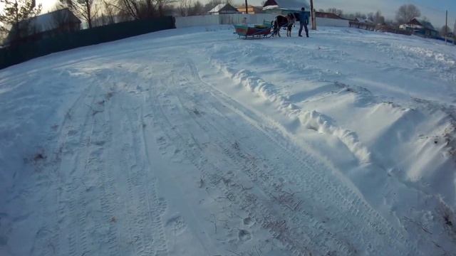 Первый раз Барона запрягли в сани смотреть онлайн