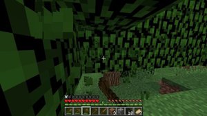 Майнкрафт Выживание Среди Деревни