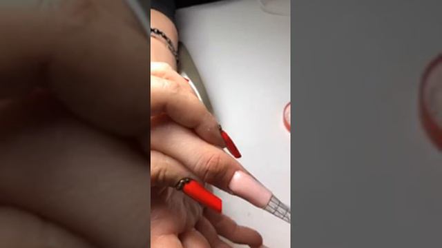 Аксенова Елена: "Арки на грызуна🤩🤩🤩"