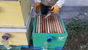 Двухматочное содержание в вертикальном улье. От слабышей к МЕДОВИКУ.