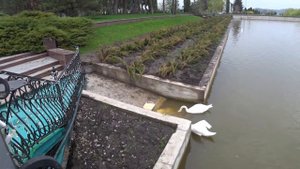 Украинское село Ковалёвка , маленькая Швейцария! Село Ковалівка. Красивое село, европейского типа.