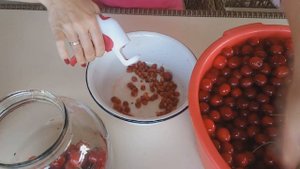 ПОКУПКИ С АЛИЭКСПРЕСС/ПРИСПОСОБЛЕНИЕ ДЛЯ УДАЛЕНИЯ ВИШНЕВЫХ КОСТОЧЕК