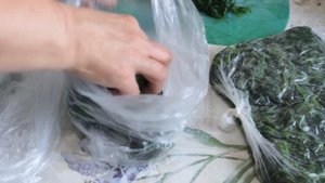 Как сохранять ЛЕБЕДУ на Зиму?Потрясающе вкусная ЛЕБЕДА?herb dishes vegan food