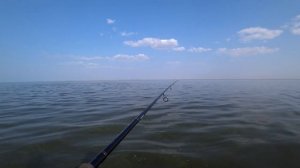 Рыбалка на Волге! Рыбалим  в живописных местах! Рыбалка в Волгоградской области!