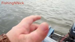 Ловля трофейной щуки.  Рыбалка троллингом осенью.