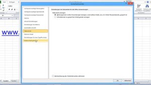 19ПШ_ Как организовать сетевой доступ к EXCEL файлам (немецкоязычный Excel).