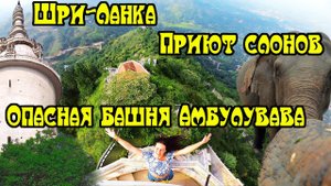 Шри-Ланка. Часть 6. Храм Дамбулла. Сигирия. Пиннавела - Приют для Слонов. ОПАСНАЯ Башня Амбулавава!