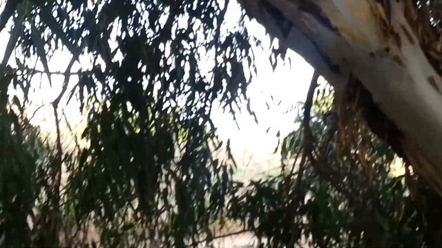 ВелоБушкрафт часть2. смотреть онлайн