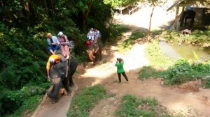 Тайланд, катание на слонах