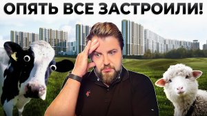 Было ПОЛЕ - стал ГОРОД! Комендантский проспект: самые знаковые новостройки и история района