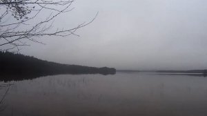 Рыбалка на Вохтозеро. #капитанандрейфёдоров #рыбалка #карелия