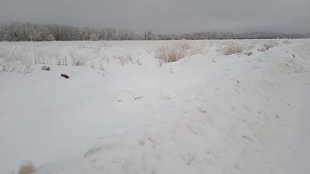 Дефицит мужчин в России (1ч) смотреть онлайн