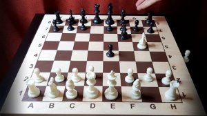 ЛОВУШКА на выигрыш ФЕРЗЯ в начале партии. Скандинавская Защита. Выучи эту ловушку для СИЛЬНОЙ игры!