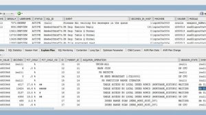 SQLDeveloperChildandDrill