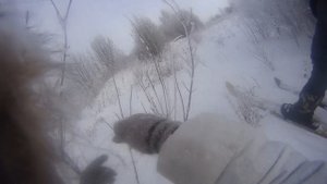 Охота на зайца силками(петлями )2019.