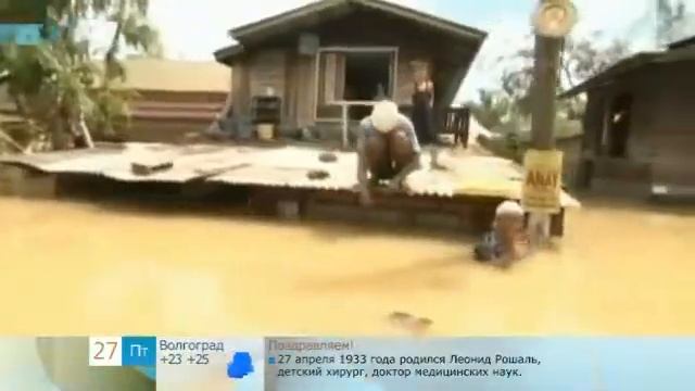 kabaplastic.flv смотреть онлайн