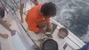 Морская рыбалка на Пхукете | Deep Sea Fishing in Phuket