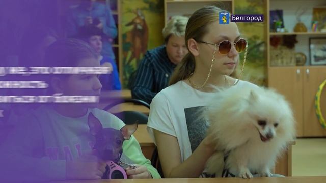 В Белгородском центре детского творчества проводят занятия для владельцев собак смотреть онлайн
