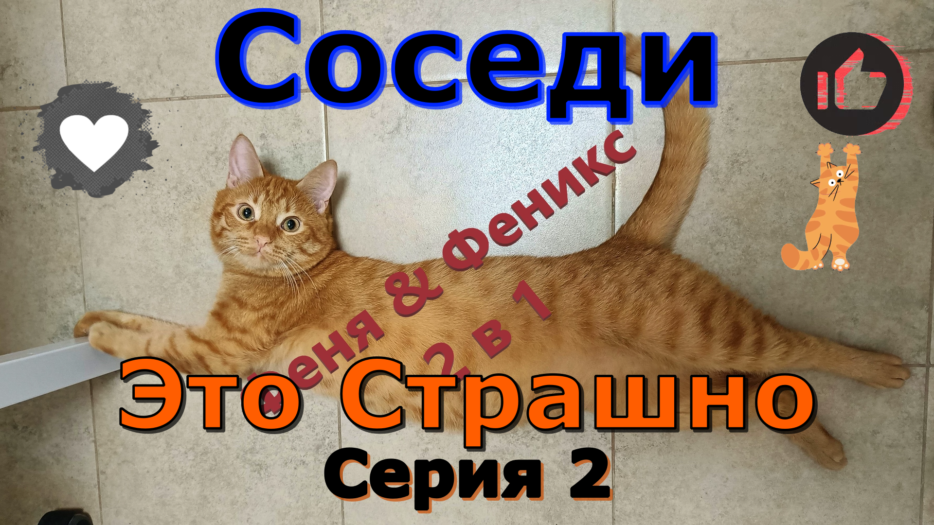 Соседи Это Страшно. Серия 2. Кот Феня, он же Феникс, боится соседей.