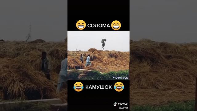 Живая солома🤣