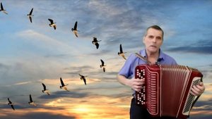 Дворовая песня. Журавли караваном все на юг улетают. На баяне.