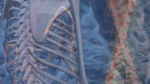 ЗАЧЕМ ПИТЬ ВОДУ?