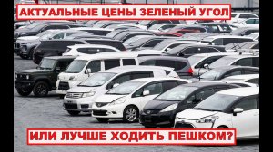 АВТОРЫНОК ЗЕЛЕНЫЙ УГОЛ САМЫЕ АКТУАЛЬНЫЕ ЦЕНЫ 25 АВГУСТА ИЛИ ЛУЧШЕ ХОДИТЬ ПЕШКОМ