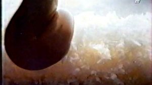 Bounty.Райское наслаждение (2001)