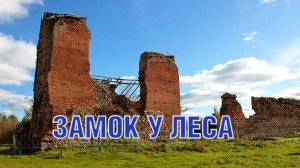 КОП по ПЕРВОЙ МИРОВОЙ. Нашли замок у леса WW1 Excavations. Old castle's near the forest ENG SUBs