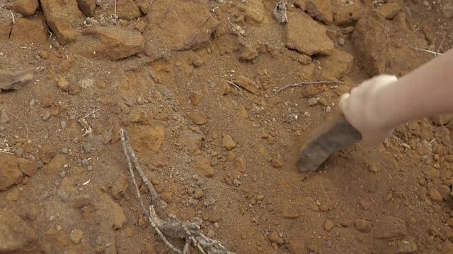 Яйца динозавров смотреть онлайн