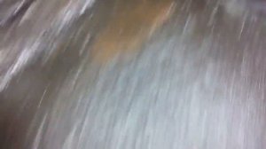Течёт масло с двигателя. Сальник коленвала.