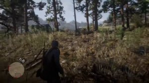 Карта сокровищ Ориентиры Богатств в Red Dead Redemption 2