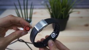 Фитнес-трекеры Polar Loop и Garmin Vivofit